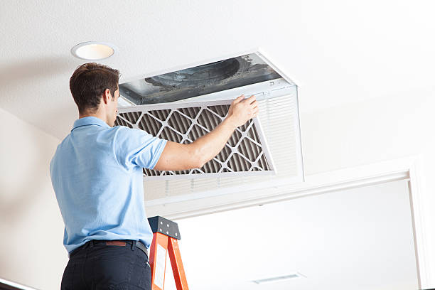 Best HVAC Installation Services  in Homosassa Springs, FL